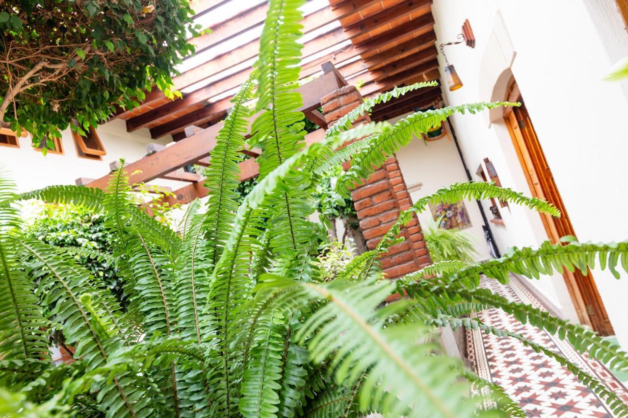 מקסיקו סיטי Meztli: Casa Boutique & Spa מראה חיצוני תמונה
